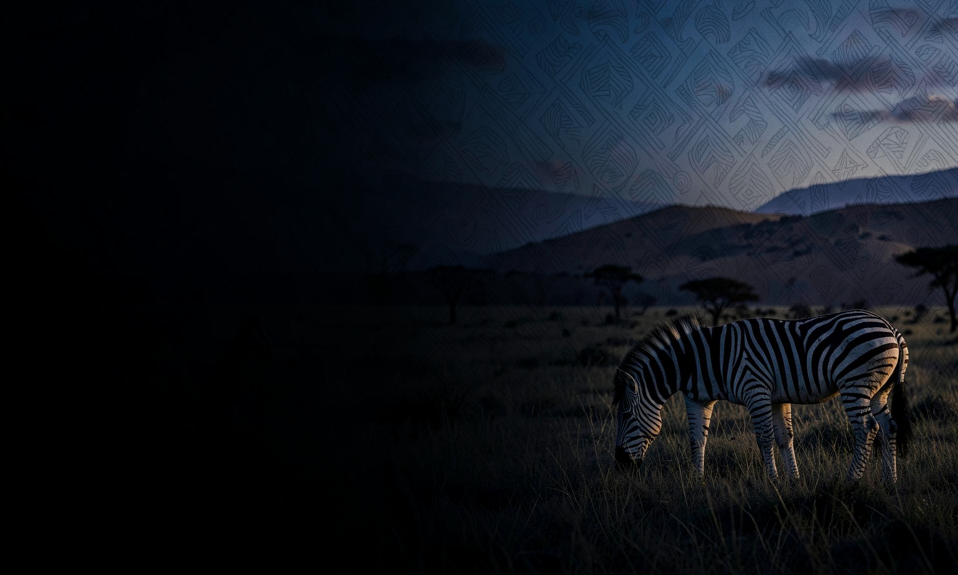 Zèbre dans les plaines africaines au crépuscule, motifs textiles en filigrane